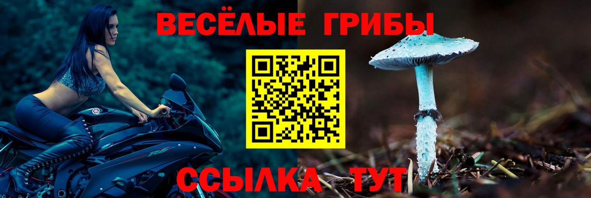 Галлюциногенные грибы Psilocybe  Вход с VPN  Псилоцибиновые грибы Psilocybine cubensis  Подольск 